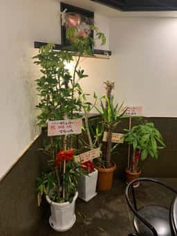 ダイニングバーゆう&みい