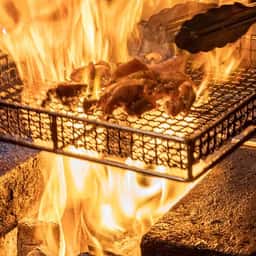 トリマラン赤坂