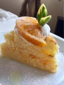 いつか森になるカフェ