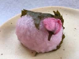 濱うさぎ 横浜ポルタ