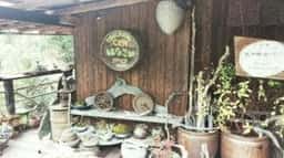 オーガニックカフェ はなさか