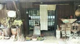 オーガニックカフェ はなさか