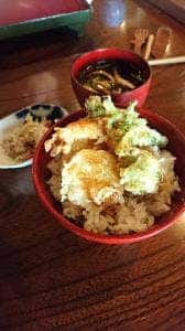 案山棒