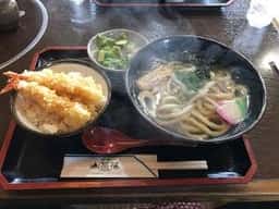 内子町役場 五十崎凧博物館山茶花
