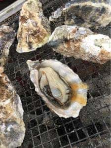 糸島牡蠣小屋