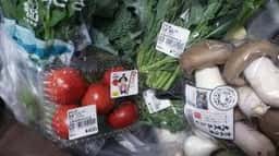 いずみファーマーズ葉菜の森