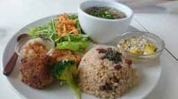 いつか森になるカフェ