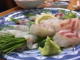 季節料理すし 阿波弁慶