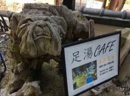 菊乃家 足湯・CAFE