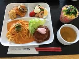 スワン