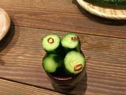 宮崎県日南市 塚田農場 熊本下通店