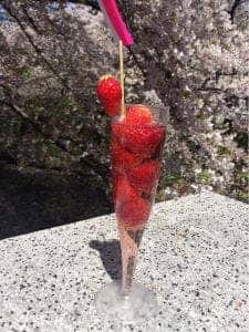 サングリバー スロージャム