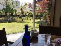 ドラゴンキッチンダイナスティ 光の森店