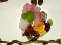 湯の川温泉 湯宿・草菴