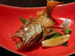 湯の川温泉 湯宿・草菴