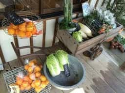 一白