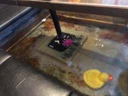 もみの気ハウス 京都店