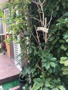 きっちんオリーブ