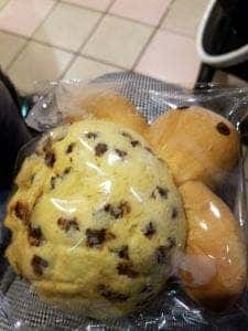 うみがめのお店 神戸市立須磨海浜水族園