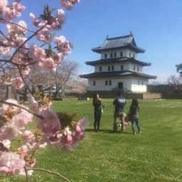 松前城観光案内所 花守