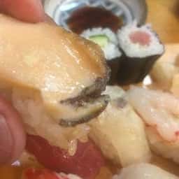 蝦夷寿し