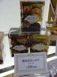 スカイピア かごしま空港ホテル