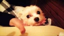 ナチュラル