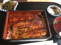 うなぎ 山口