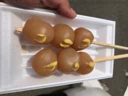 宮城蔵王キツネ村