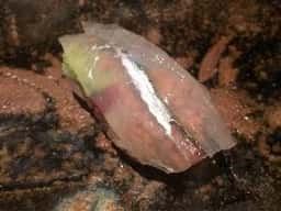 万魚