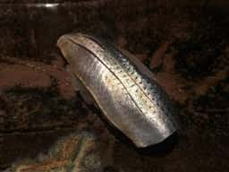 万魚