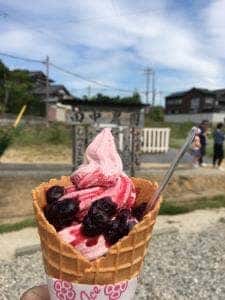 田中農園