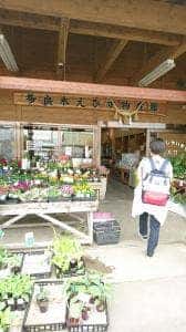 えびす物産館