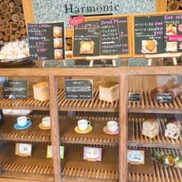 Harmonie Washima Boulanger