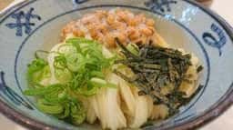 本場香川 宮武讃岐うどん