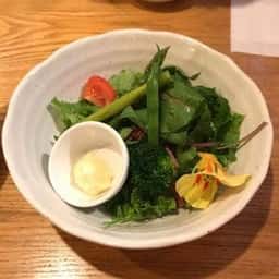 彩食茶房 松の実