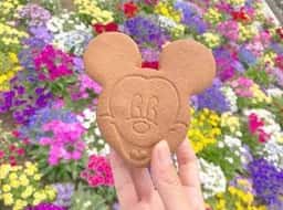 トゥーントーン・トリート