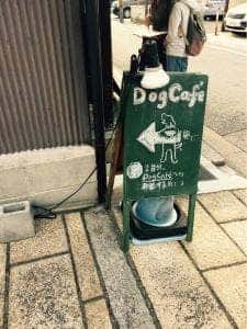 DOG CAFE