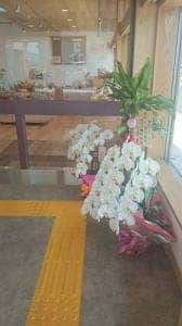パンの花
