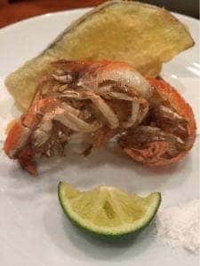 髙鮨