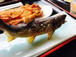 那須渓流パーク お食事処