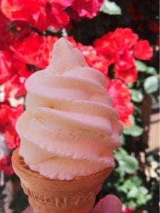 スイスの街角レストラン ハイジの村