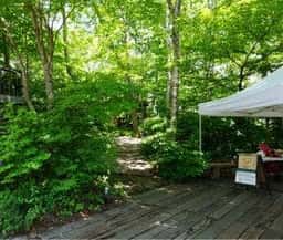 Organic cafe ごぱん