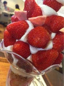 ブラン豊中店