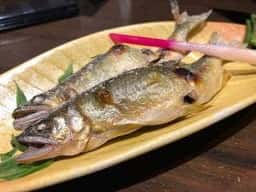 旬翠桂川