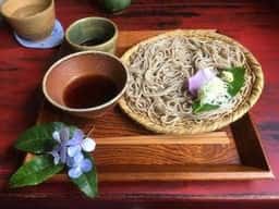 卯乃木