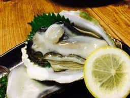 木の根