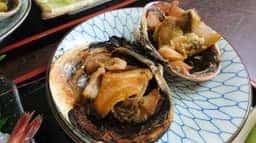 伊良湖亭