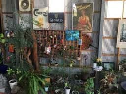 サンフラワーレスト