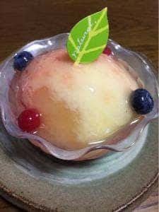 ガトースリール